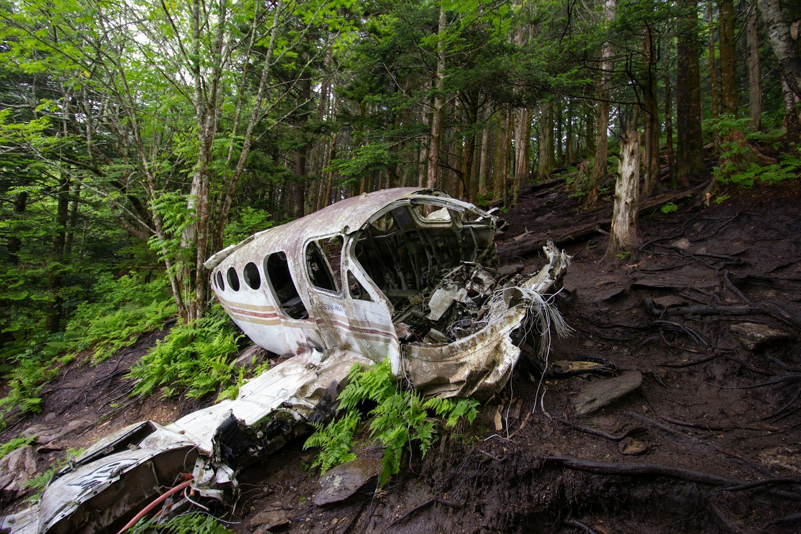 brown wooden canoe on brown soil