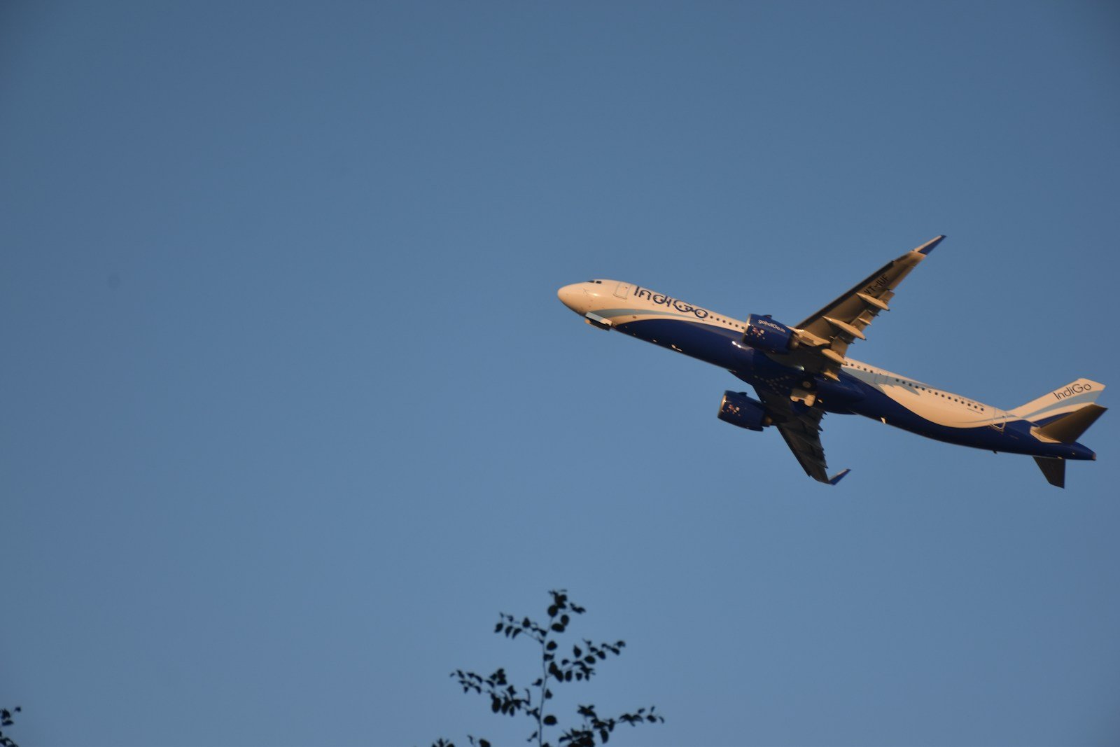 white and blue airplane flying in the sky during daytime