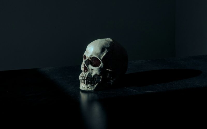 white and black skull figurine on black surface