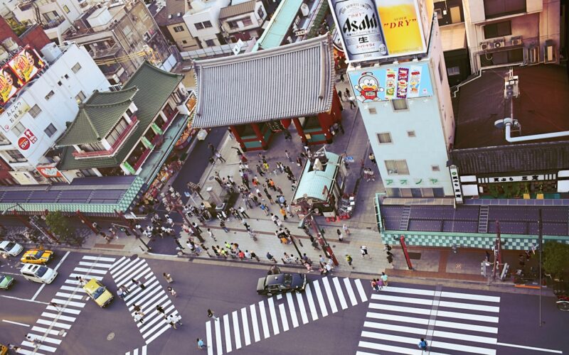 people on street near buildings
