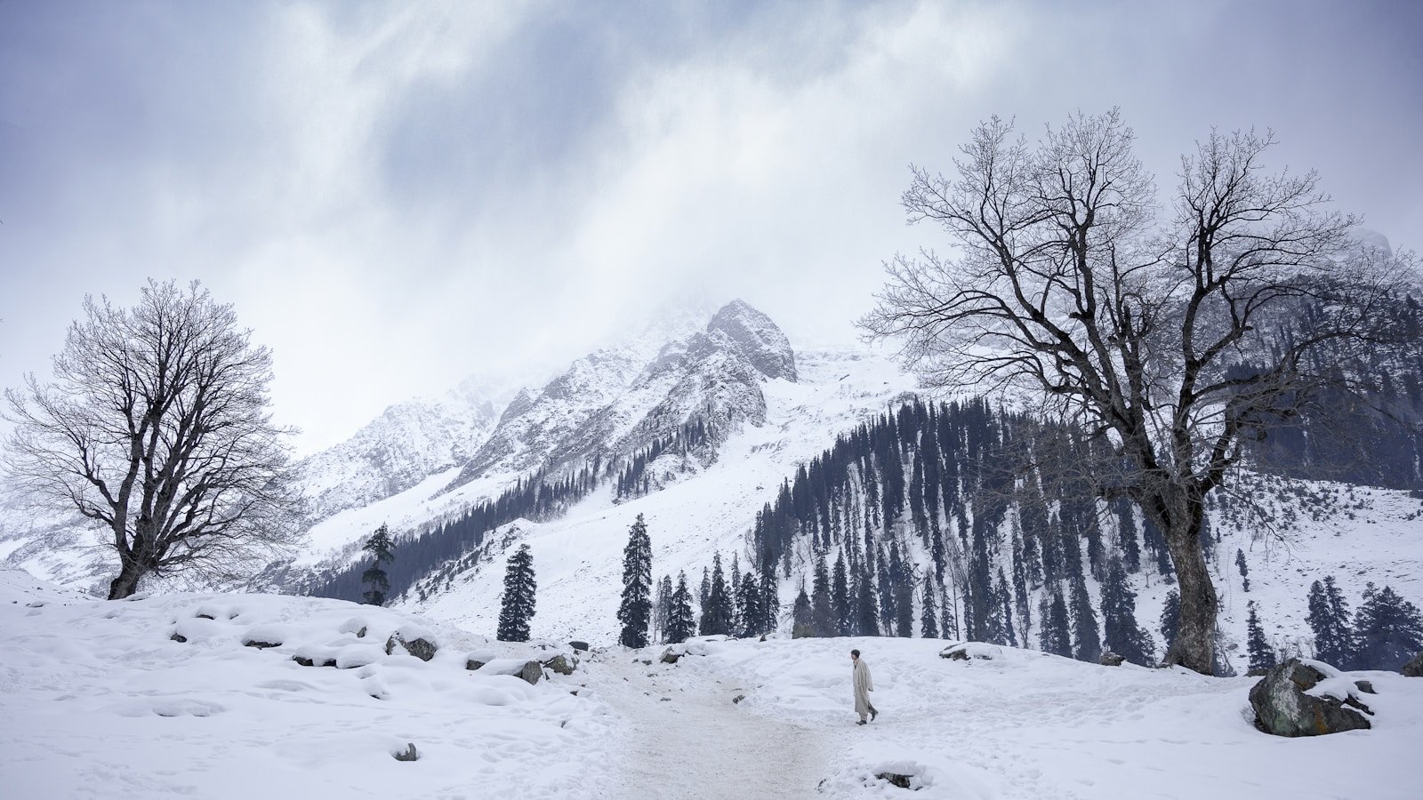 a snow covered mountain with trees and a trail
