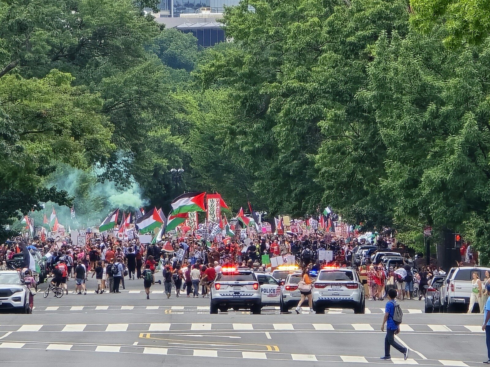 A large group of people walking across a street