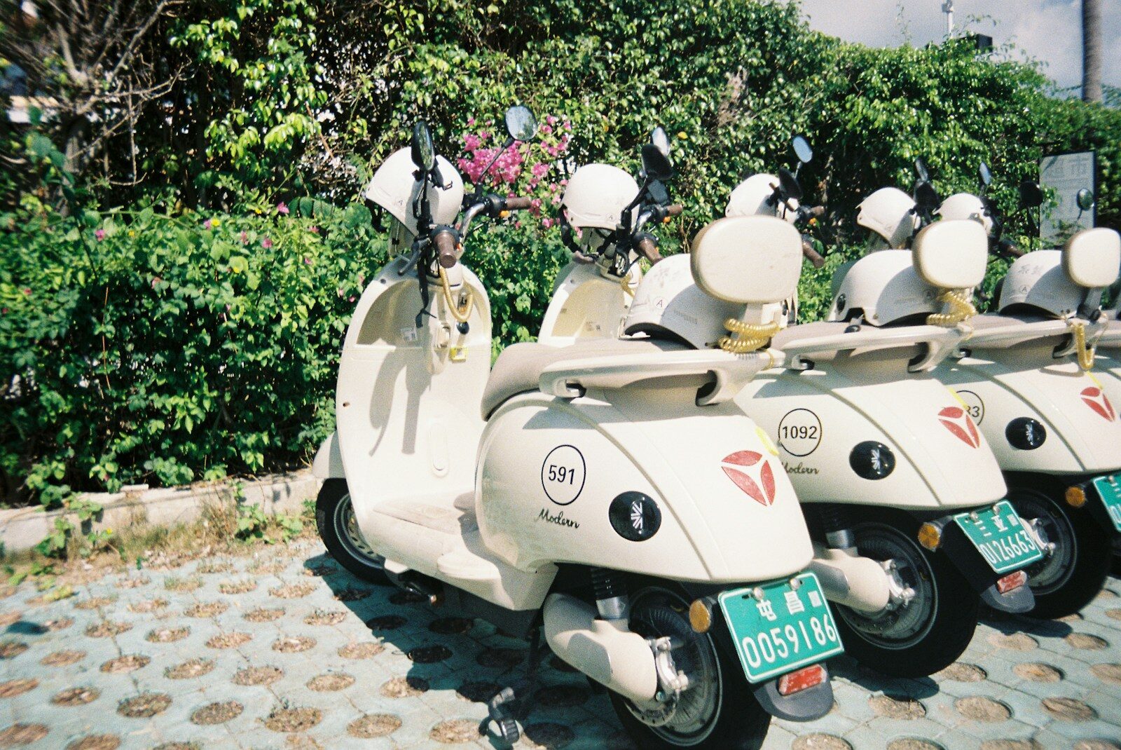 White scooters parked in a row near green bushes
