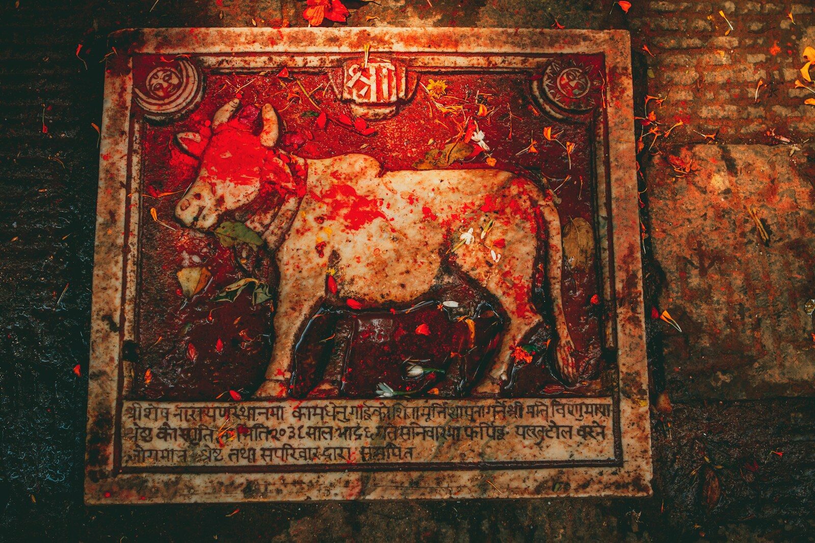 आज का राशिफल 16 अक्टूबर 2026: शुक्रवार को इन राशियों को मिल सकता है धन लाभ, जानें मेष से मीन तक सभी 12 राशियों का हाल