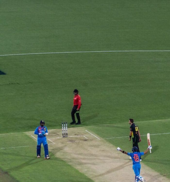 people playing in a field